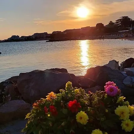 Tanja Daire Sveti Vlas